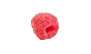 Raspberry